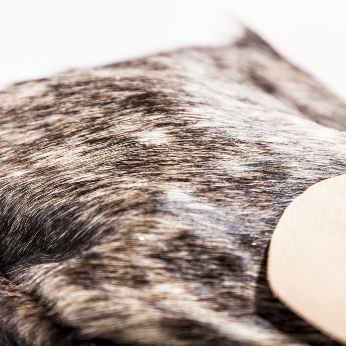 PASEO PELO DETALLE WEB