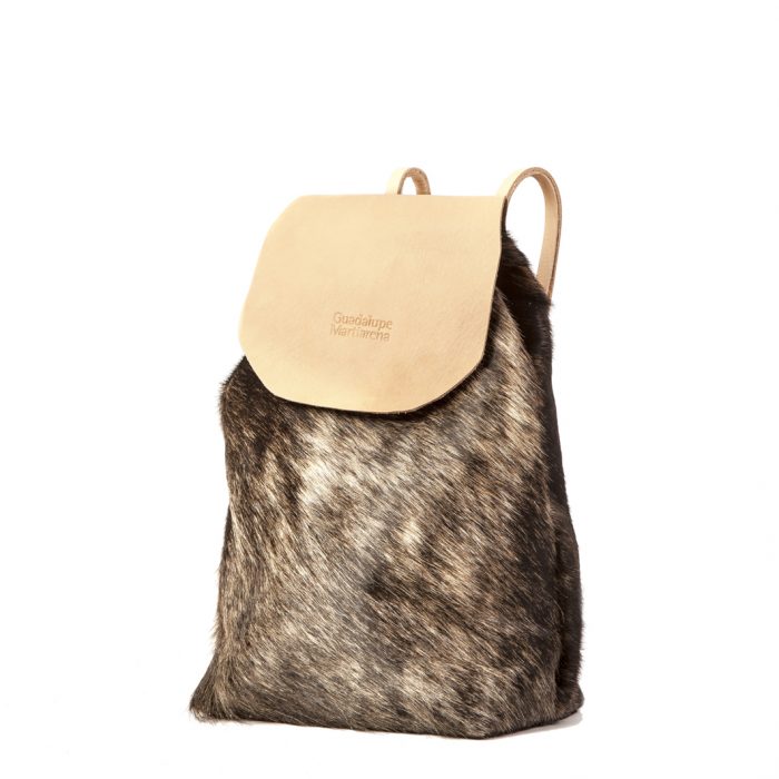 PASEO PELO FRENTE WEB bis